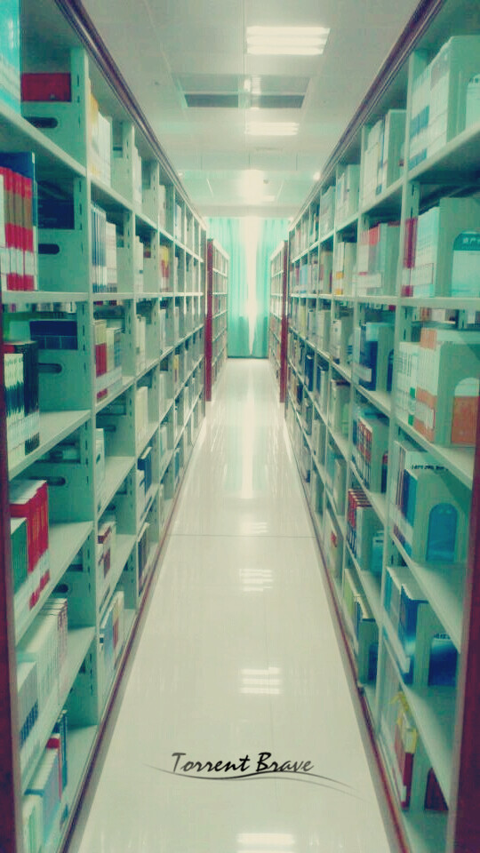 my school- library.