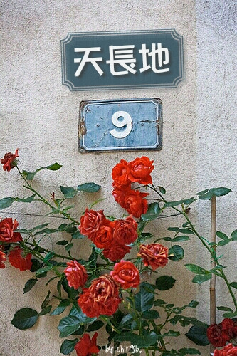 文字桌布