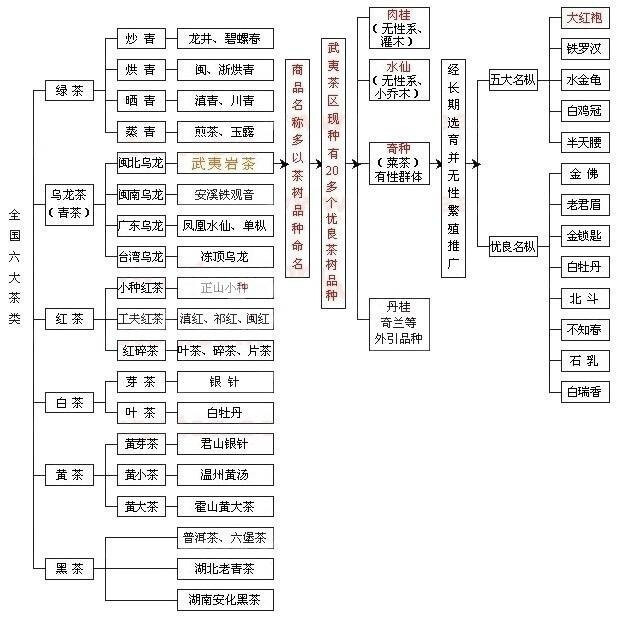 中国茶的分类，即使你不爱喝茶，也应该懂得一些茶叶的知识~