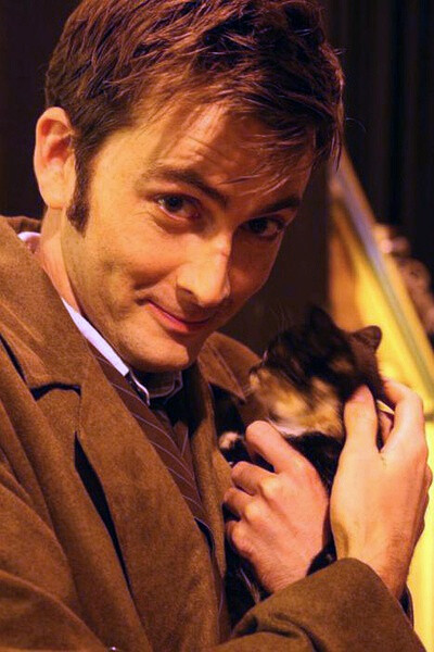 &lt;Doctor Who &gt;大卫·田纳特 David Tennant