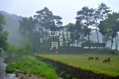 八月，又称中秋，桂月，状月。来自摄影爱好者青简的作品《农历十二月》。农历十二月的别称，让人怀念起小时候那半生半熟的习俗和歌谣