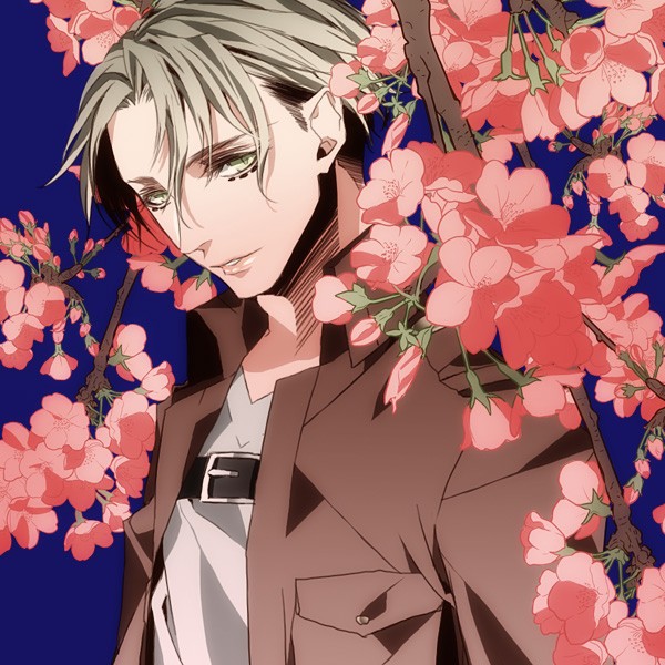 进击的巨人进撃の巨人纳纳巴