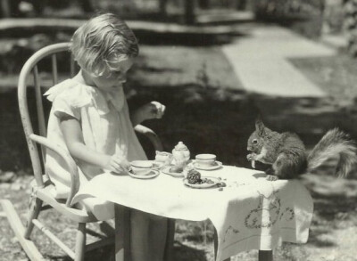 Tea with Mr.squirrel——与松鼠先生共进的下午茶。
