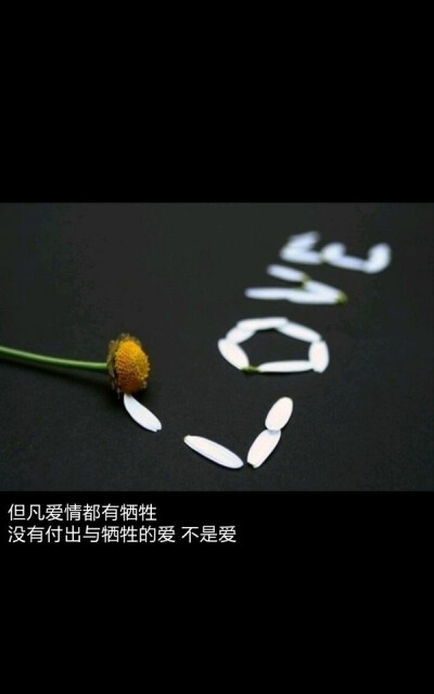 但凡爱情都有牺牲 没有付出与牺牲的爱 不是爱