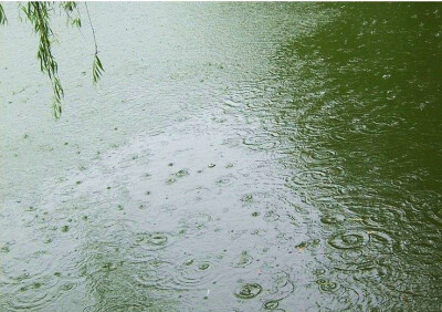 春雨，碧水，柳枝曳