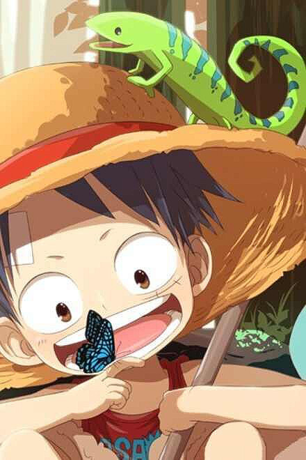 Luffy 萌萌哒