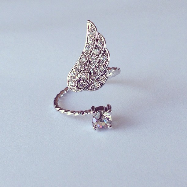 Adorable wing rings