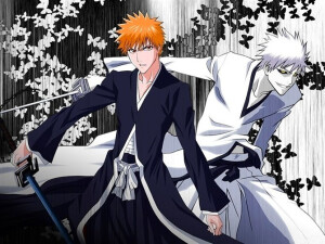 死神 BLEACH、ブリーチ、 一护