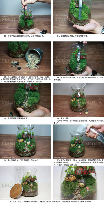跟着水木熙做一个苔藓瓶吧
