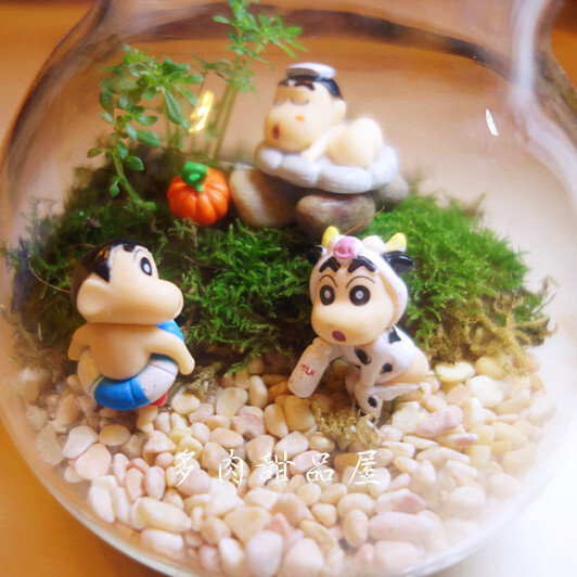苔藓 青苔 多肉 创意 慢生活 植物 绿色