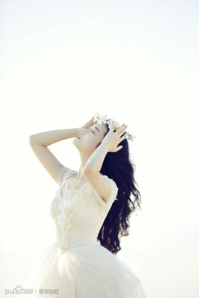 -----皮肤 无视水印 张辛苑