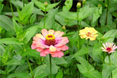 花岛一日游