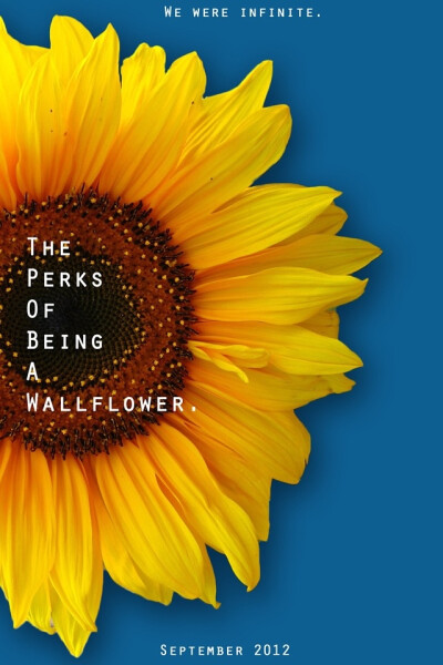 The Perks of Being a Wallflower - 《壁花少年》电影海报