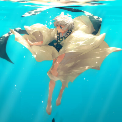海