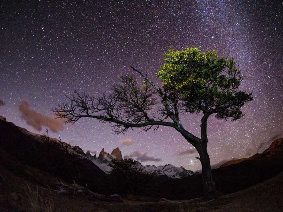 Night Sky, Patagonia Photograph by Max Seigal