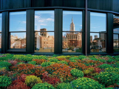 Rooftop Garden, Manhattan Photograph by Diane Cook and Len Jenshel, National Geographic