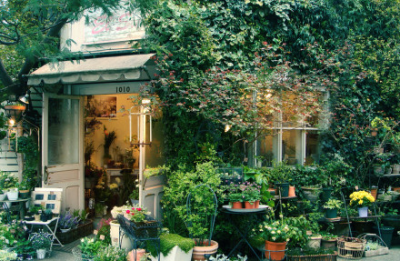 静静的生活着......