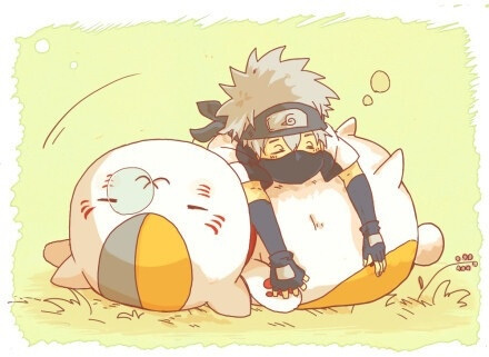 卡卡西猫咪老师