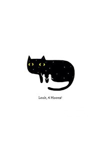 夜空黑猫平铺。