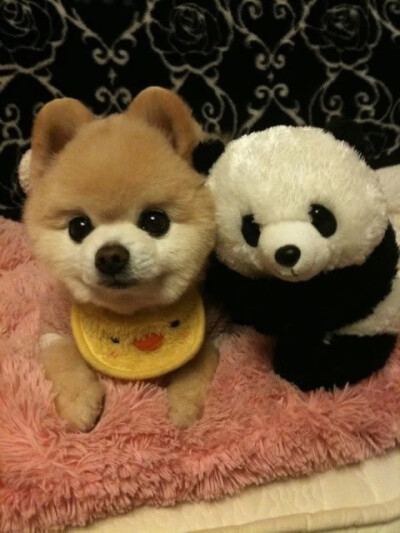 让我们肩并肩手拉手在那海边悬崖下看浪 花 让我们开着车兜着风到那青青山坡下采野 花 只要和你在一起我就会心欢喜 你温柔你体贴我要赞美你 风度翩翩气质高雅 我们俩谈着心唱着歌在那一轮夕阳下看晚 霞 我们俩轻轻地…