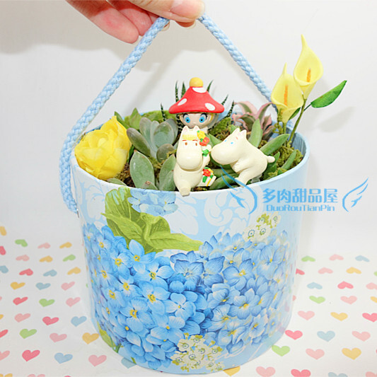 多肉植物 拼盆 绿色 植物 好心情