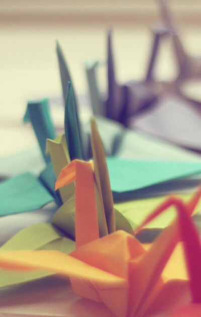 千纸鹤╰(*´︶`*)╯