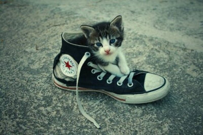 Converse