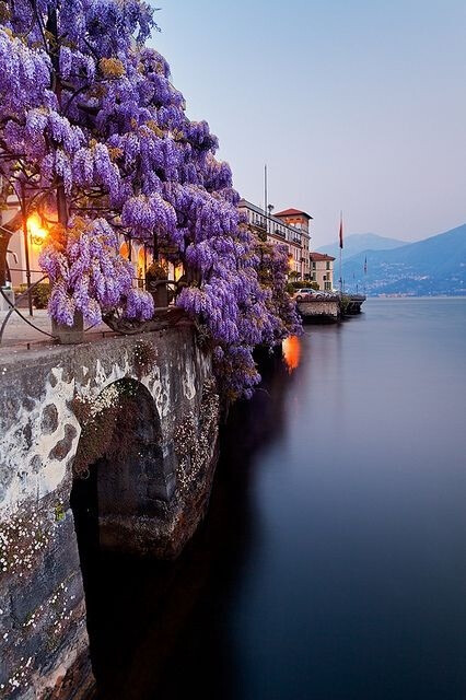 意大利科莫湖（Lake Como），世界著名风景休闲度假胜地，位于阿尔卑斯山南麓的一个盆地中。科莫湖以它的气候和繁茂的植被资源闻名，国际上的一些著名的影片也多在此取景。湖边的一些很有历史价值和建筑艺术价值的别墅是其最吸引人的地方，许多欧美社会的名流为拥有一栋科莫湖畔的别墅而感到骄傲。