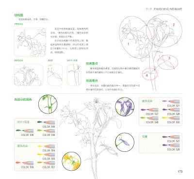 100种森林系色铅笔花之绘，漫享花漾小时光，让花卉发现色铅笔的美。