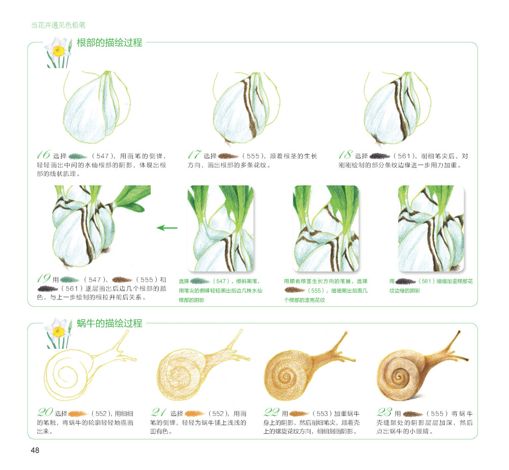 100种森林系色铅笔花之绘，漫享花漾小时光，让花卉发现色铅笔的美。