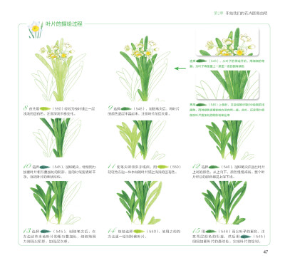 100种森林系色铅笔花之绘，漫享花漾小时光，让花卉发现色铅笔的美。