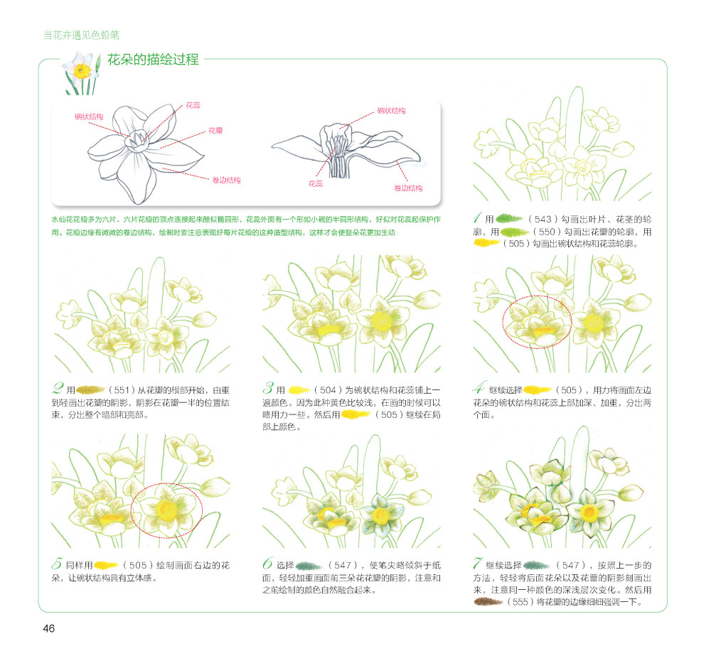 100种森林系色铅笔花之绘，漫享花漾小时光，让花卉发现色铅笔的美。