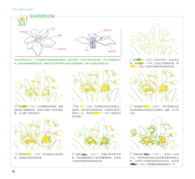 100种森林系色铅笔花之绘，漫享花漾小时光，让花卉发现色铅笔的美。