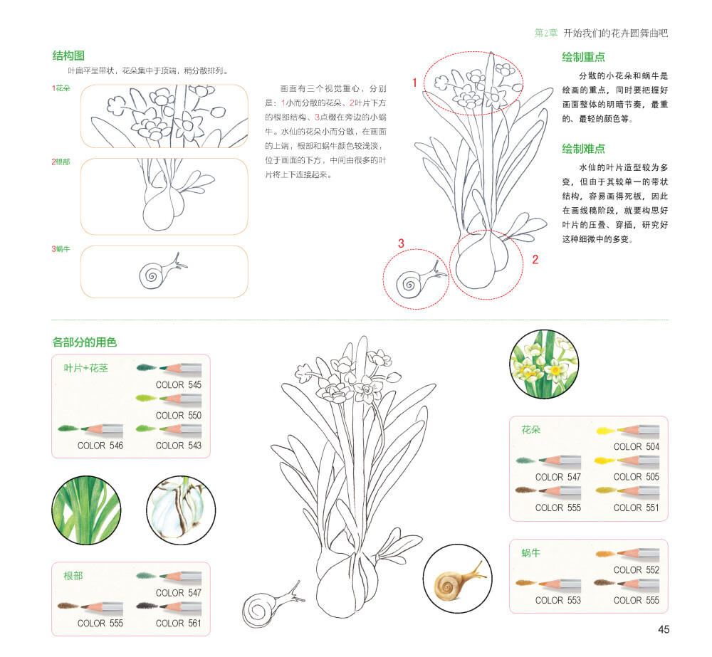 100种森林系色铅笔花之绘，漫享花漾小时光，让花卉发现色铅笔的美。