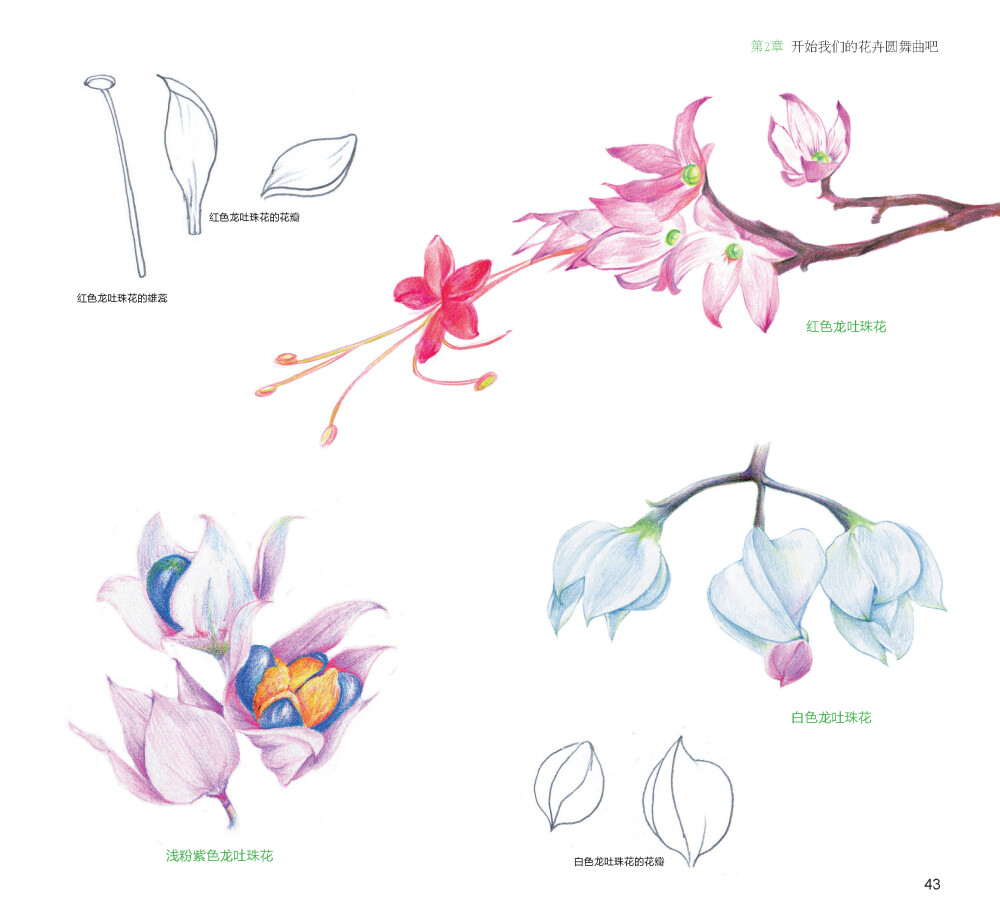 100种森林系色铅笔花之绘，漫享花漾小时光，让花卉发现色铅笔的美。