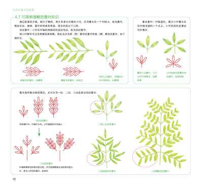 100种森林系色铅笔花之绘，漫享花漾小时光，让花卉发现色铅笔的美。