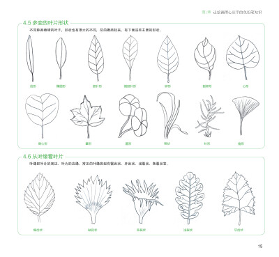 100种森林系色铅笔花之绘，漫享花漾小时光，让花卉发现色铅笔的美。