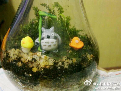 龙猫系列微景