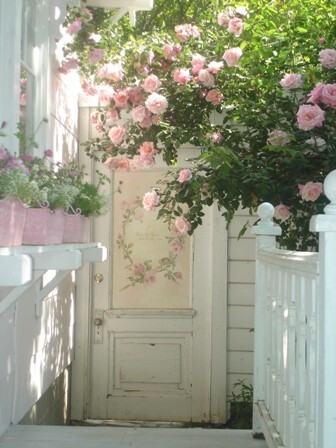 花朵的门前