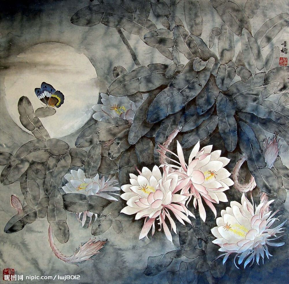 月下昙花一现，美不胜收，看似简单的工笔画，确是笔者细心勾勒出的每一个完美。