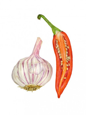 Anna Knights写实手绘 ——Chilli and Garlic（ 画家主页：http://annamasonart.com/）