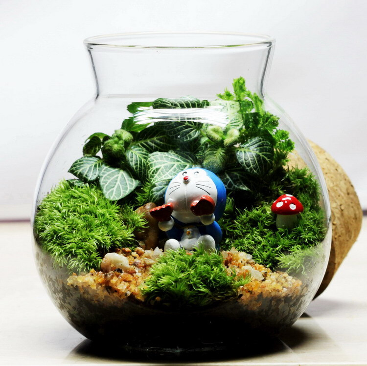 苔藓微景观@小小水族馆http://shop35175668.taobao.com