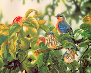 鸟语花香Lovely Painting Songbirds