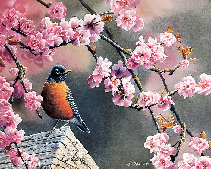 鸟语花香Lovely Painting Songbirds