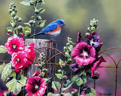 鸟语花香Lovely Painting Songbirds