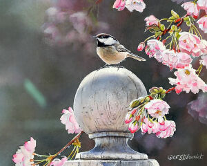 鸟语花香Lovely Painting Songbirds