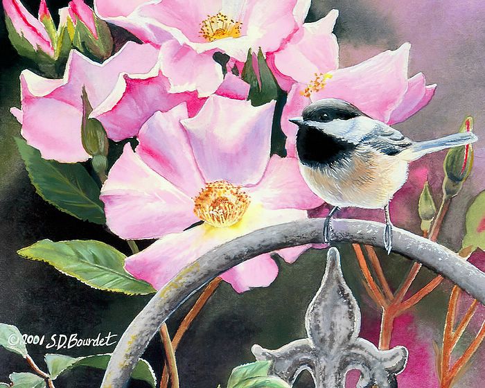 鸟语花香Lovely Painting Songbirds