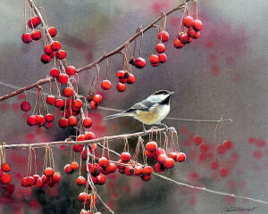 鸟语花香Lovely Painting Songbirds