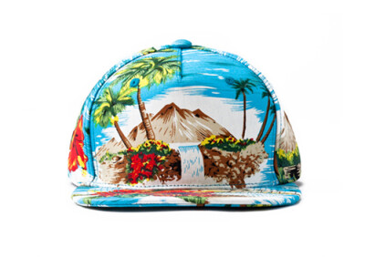 台湾正品HATER Snapback 夏威夷椰树海岛 http://item.taobao.com/item.htm?spm=686.1000925.1000774.21.XpKhQa&amp;id=35248126313