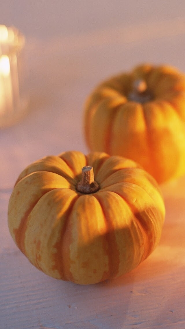 南瓜iphone5壁纸
